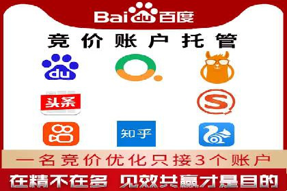 案例解析：揭秘高效竞价推广技巧